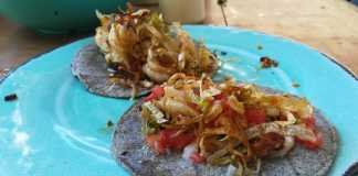 Barba Negra Holbox Barba Negra Hobox tacos