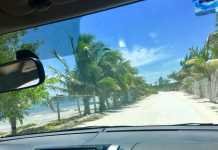 Renta de Autos en México Renta de Autos en México