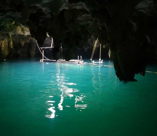 Cenote La Noria Cenote La Noria