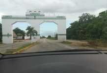 Cómo llegar de Cancún a Holbox