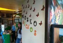 Museo de Bichos e Insectos Querétaro Museo de Bichos e Insectos Querétaro