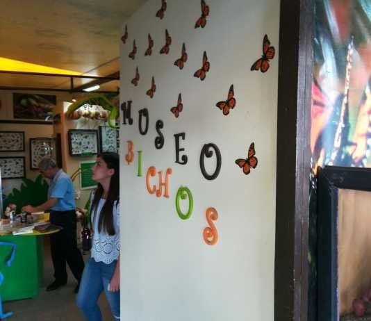 Museo de Bichos e Insectos Querétaro Museo de Bichos e Insectos Querétaro