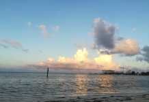 Actualización de restricciones de viaje COVID de Cancún 29-10-2020 restricciones de viaje COVID de Cancún